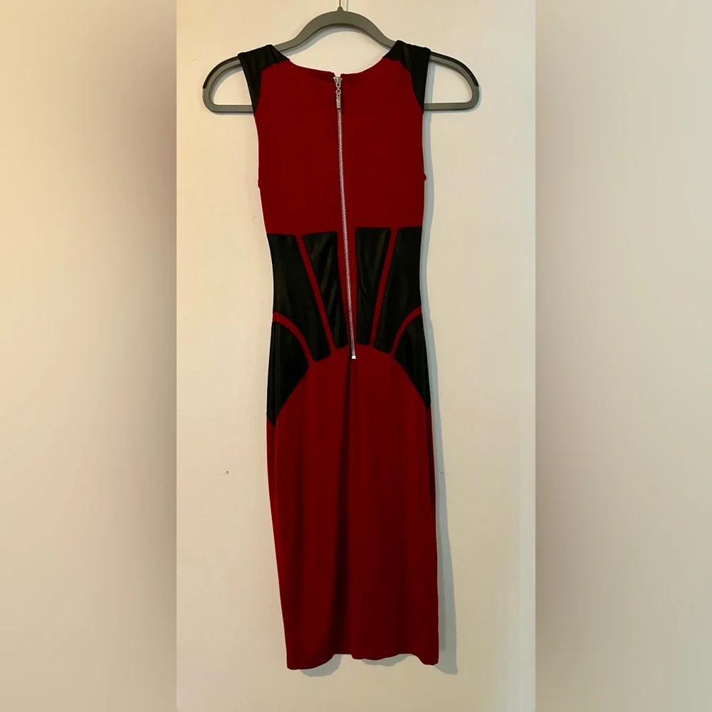 Bebe Dress - Picture 4 of 5